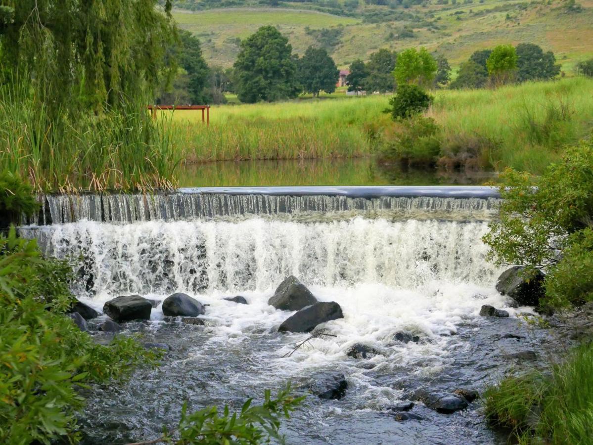Walkersons Trout And Nature Haven دولستروم المظهر الخارجي الصورة