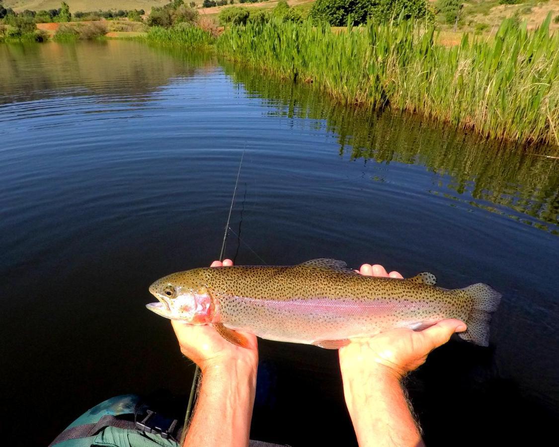 Walkersons Trout And Nature Haven دولستروم المظهر الخارجي الصورة