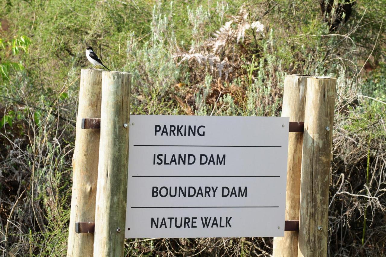 Walkersons Trout And Nature Haven دولستروم المظهر الخارجي الصورة