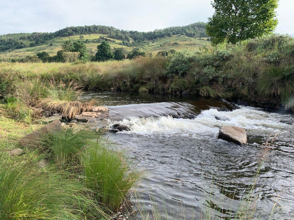 Walkersons Trout And Nature Haven دولستروم المظهر الخارجي الصورة