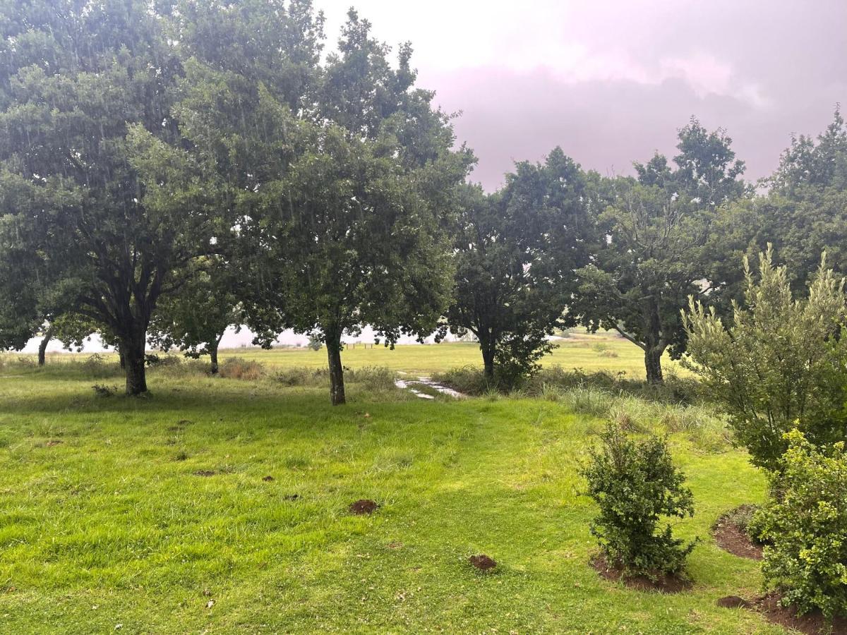 Walkersons Trout And Nature Haven دولستروم المظهر الخارجي الصورة
