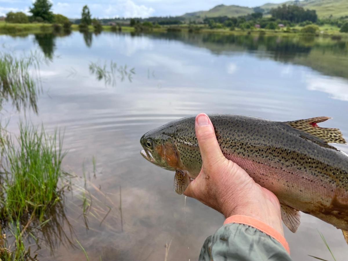 Walkersons Trout And Nature Haven دولستروم المظهر الخارجي الصورة